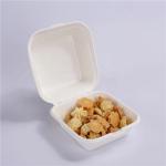 Disposable Biodegradable Take Away Food Container 6 Inch Sugarcane Bagasse Lunch