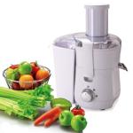 600w KP60PD Power Juicer