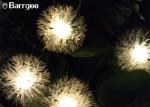 7M 50 LED Chuzzle Decorative LED String Lights Battery Box Outdoor Usage