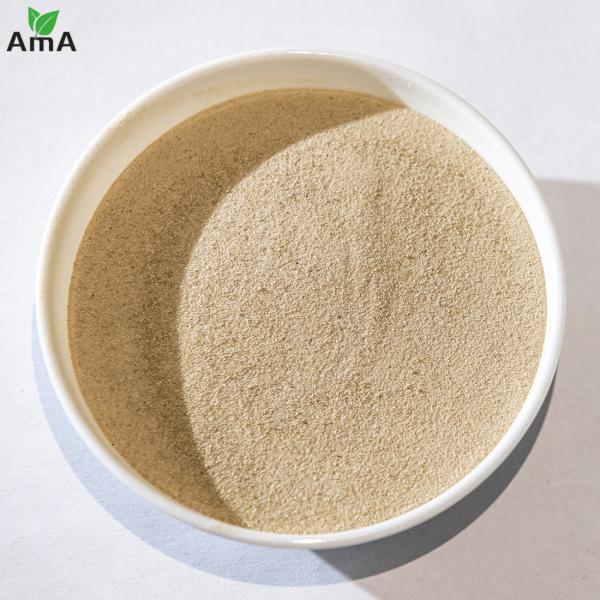 Pure Protein Dry Fish Fertilizer Hydrolysate Powder 15-1-1 For Organic Farm