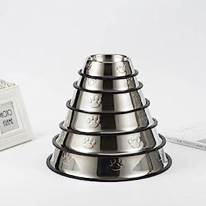 2 Stainless Steel Dog Bowls with Non-Slip Rubber Bases