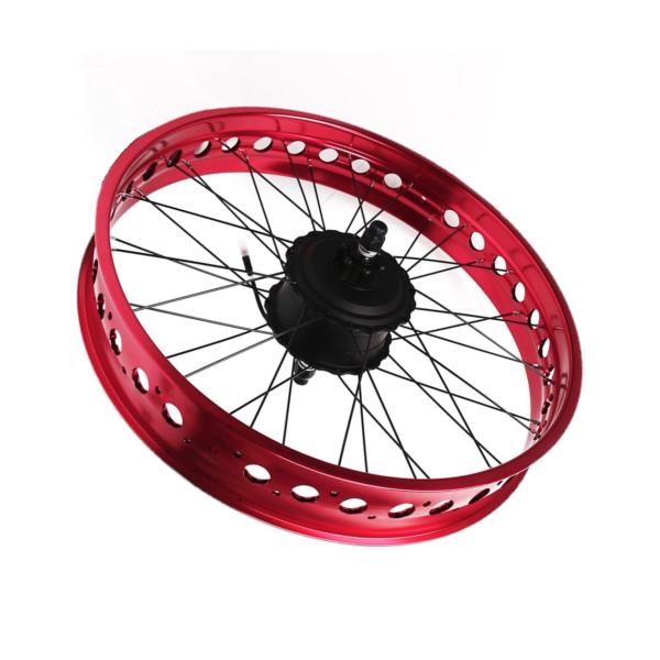 Electric Bicycle Bike Conversion Kit Rear Wheel 48 Volt 1000 Watt with LED