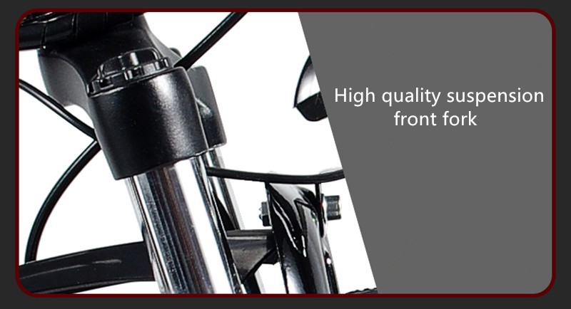 Foldable 48V 10.4AH Electric Bicycle with Aluminium Alloy Frame in Black and White