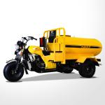 1200kg Loading Capacity 1000W Diesel Tricycle Cargo Motorized Tricycle Truck