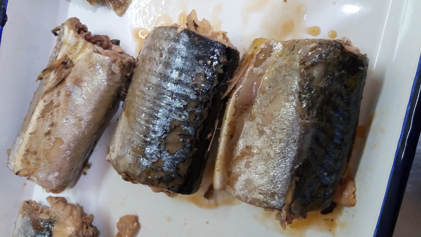 Wild Caught Canned Mackerel Healthy In Brine , Mackerel Fillets Canned For Salad