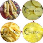 Industrial Frozen French Fries Making Machine , Banana Plantain Chips Making