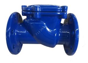 China dn100 pn16 ggg50 din check valve factory