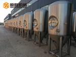 600 L Bright Polished Beer Fermentation Tanks , Large Conical Fermenter
