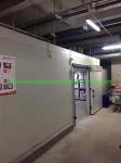 Small Walk in Freezer/Chiller for Vegetables Fruits Refrigerant Freon Cold