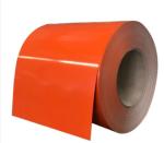 Cold Rolled Prepainted Galvanized Coils Zinc Steel Sheet Strip PPGL Hot DIP Ral