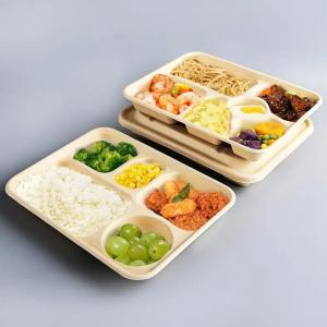 China Eco Friendly Biodegradable Sugarcane Bagasse Pulp Paper Take Away Hot Food Container For Food factory