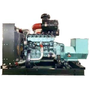 China 200KW 250kw Farm Animal Waste Biogas Generator Power Plant for Methane Gas Generation factory