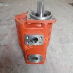 CBGJ Double Pump Square cover Spline Orange Compact Original Gear Pump For