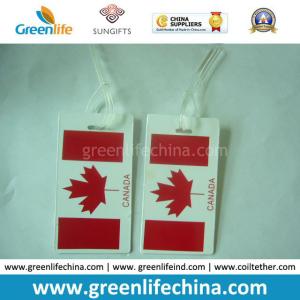 China Canada Asked Hot Selling Custom Logo PVC Hard Travel Tag factory