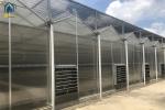 High Insulating Polycarbonate Agriculture Greenhouses Farming Polyhouse