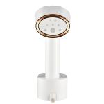 Travel-Friendly 2000W Electric Garment Steamer 250ml Water Tank Hair Brush