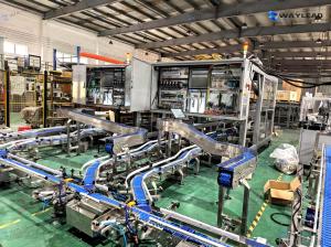 China Bread cake horizontal flow wrapping machine Down Paper Flow Packing Machine factory