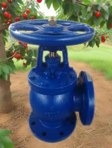 China ANSI angle valve factory