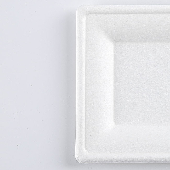 Disposable Dinnerware Set, Compostable Plant Based Cutlery Eco-Friendly Tableware