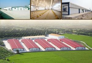 China evaporative ventilation equipment for chicken farm factory