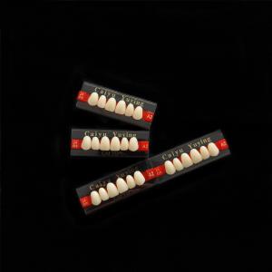China CE ISO13485 2 Layers Acrylic Resin Teeth Dental Composite False Teeth Dentadura Anteriors Upper, (6x1)x16, 503# factory