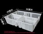 sustainable white chicken cage 680*490*160mm Virgin PP Transportation Chicken