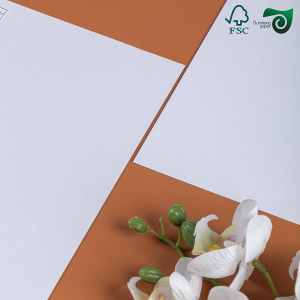 China 200gsm 500gsm White Duplex Board Paper Crafted From Recycled Pulp Coated Duplex Board factory