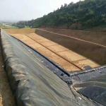 500 Microns Fish Pond Liner Geomembrane for HDPE Black Geomembrane 2mm Pond Pool