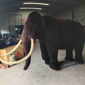China Size Custom Realistic Animatronic Animals Mammoth Model Adult Age factory