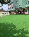 Safe Non Infilling Sports Artificial Grass For Indoor Soccer Court