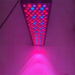 Professional Grade 1000w Infrared Light Therapy Panel for Full Body 660nm Red