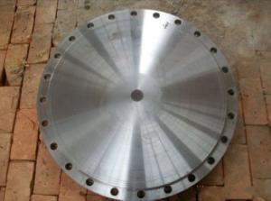 China HASTELLOY UNS N10001 flange factory
