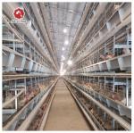 Hot-dip Galvanized Layer Hen Cage System For Poultry Farming