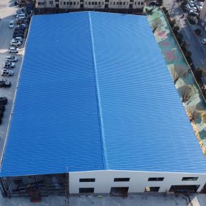 Large Span Steel Structure Warehouse Sandwich Panel Wall