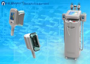 China Cryoliposis machine body shape fast slimming machine factory