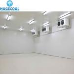 Medium 10 Cold Storage Room for Meat Chicken Fishes Vegetables Fruits Suitable