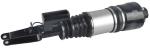2113209513 Air Suspension Parts Air Suspension Strut