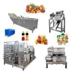 Industry Peach Juice Production Line Automatic Peach Processing Line Custom