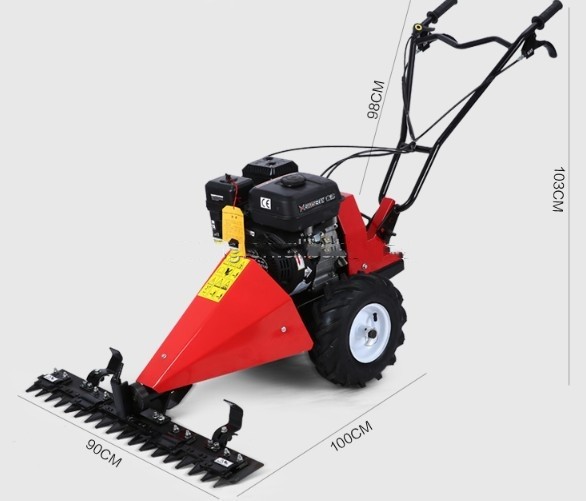 196CC Petrol Lawn Mower 1200W Gasoline Grass Cutter 3 1/4in Max Cutting Height