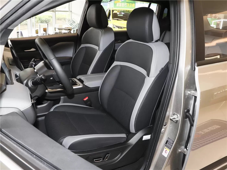 Professional HYCAN Z03 Luxury Electric Car Adult with Ternary Lithium Battery 5 Seating Capacity
