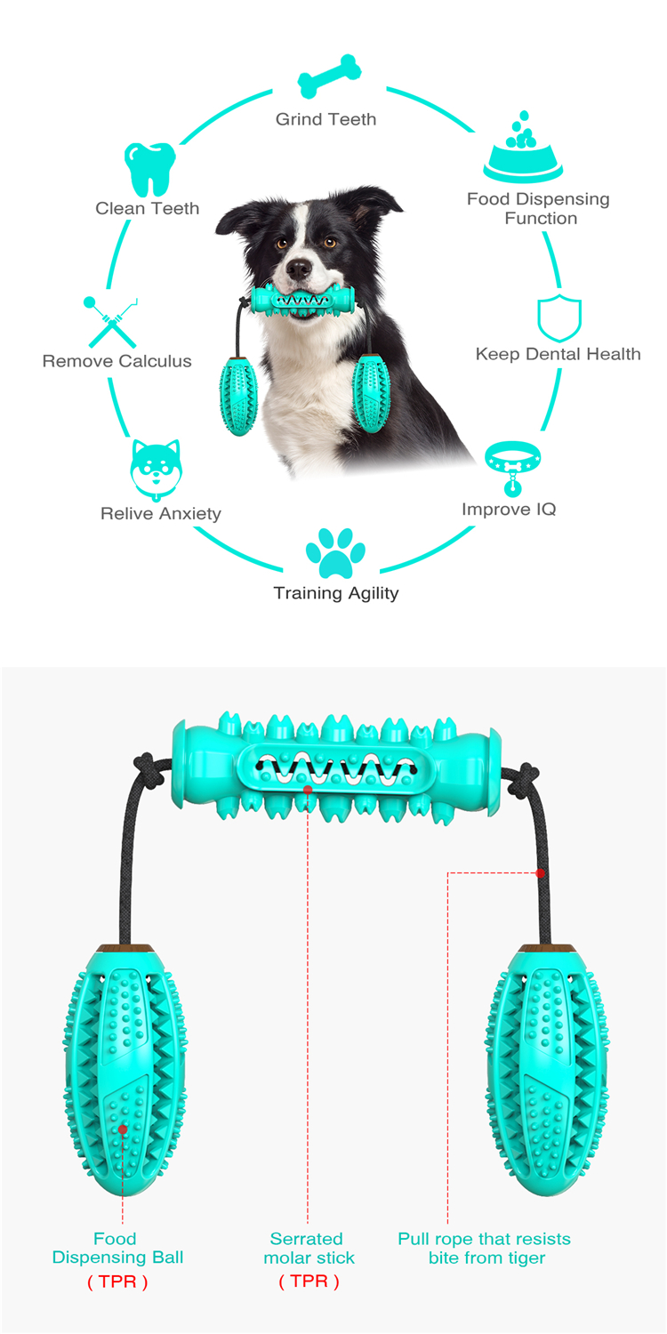 2021 Top Selling Funny Interactive Puppy Teeth Cleaning Chew Toy Dog Toothbrush Toy