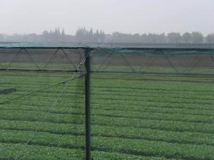 China 250 Meters 100% HDPE Insect Mesh Netting For Vegetable Greenhouse Agricultural factory