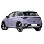 New Automobile Electric EV Cars Manufacturers BYD Dolphin Auto Vehicles