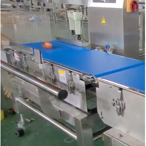 CW220 120 BPM Belt Check Weigher Weight Sorting Machine