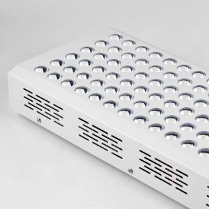 China Red Infrared Full Body 600W LED Light Therapy Panel 660nm 850nm factory
