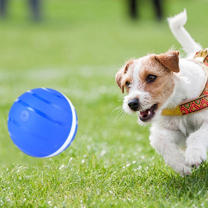  remote control ball for cats