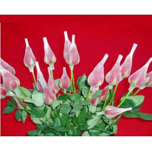 EPE Foam Sleeve Mesh Net Extruder