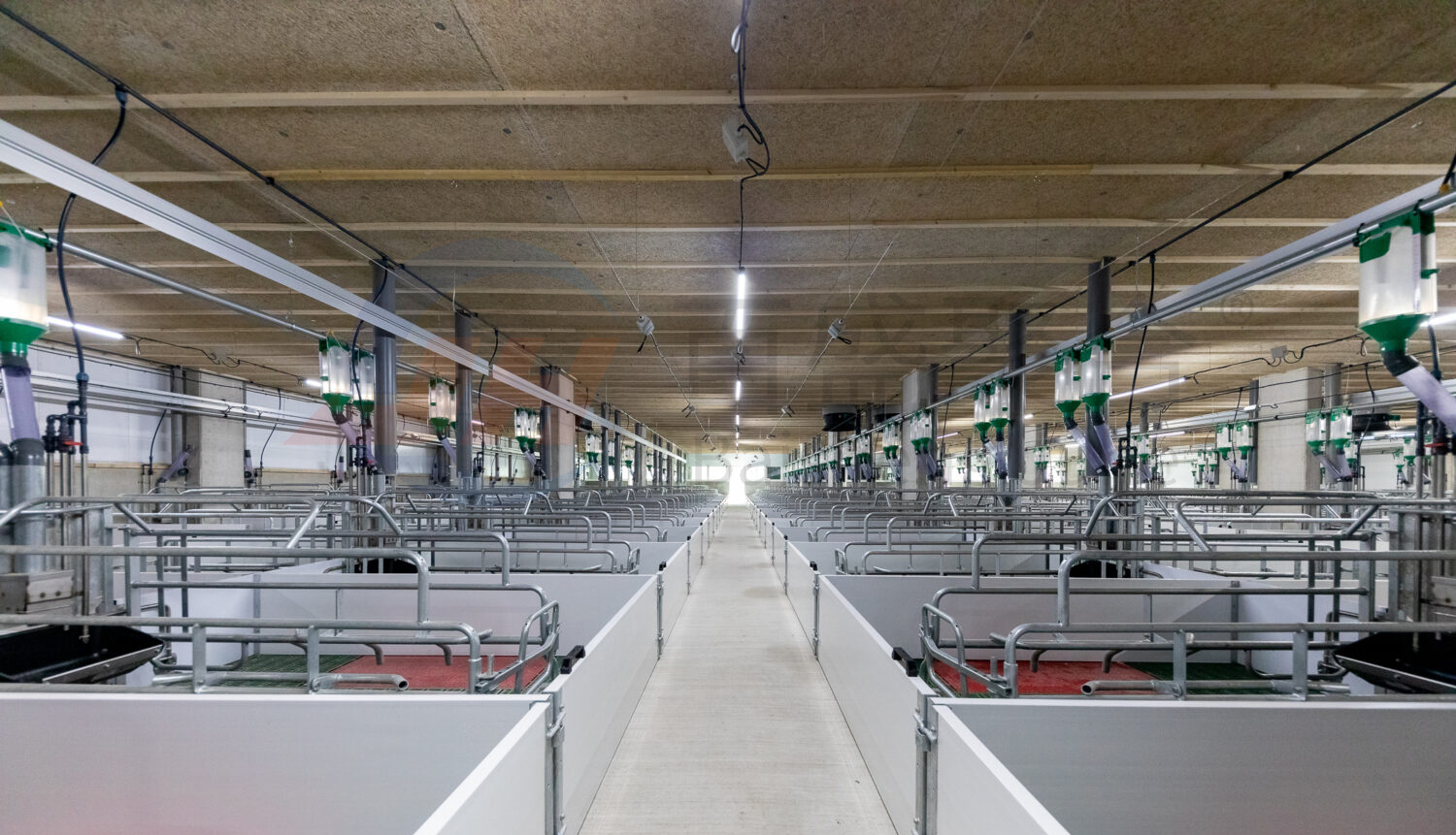 Farrowing Crate Steel Structure for Modern Farm Pig House Shed Hog Cote Winery Pigsty