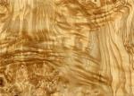 Olive Ash Burl Natural Wood Veneer for Panel Door and Furniture Industry from