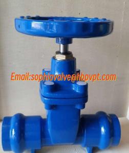 China DN50 PN16 GGG50 socket gate valve supplier factory